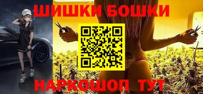 мдпв Кингисепп