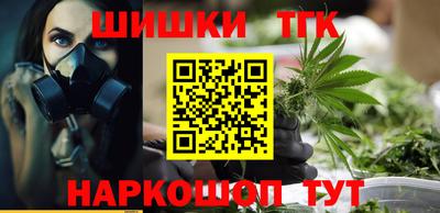 мдпв Кингисепп
