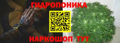 гашик Кимры